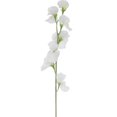 thumbnail image 3 of Pea Flower Fake Realistic Fake Flowers White 13.5*50.5cm Rustic Farmhouse Style Home Decoration 1Pcs, 3 of 4