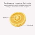 thumbnail image 4 of Lifecykel Rest & Sleep Liposomal, 4 of 9