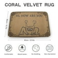 thumbnail image 2 of Hi How Are You Doormat， Funny Frog Welcome Mat Texas Gift ，Front Doormat, Indoor Doormat,Front Back Door Mat ,Coral Velvet Rug 16”x24”, 2 of 7