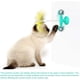 thumbnail image 5 of Juguete interactivo para gatos con forma de molino de viento, con plumas y bola de hierba gatera, con ventosa (amarillo), 5 of 5