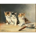 thumbnail image 3 of Moritz Müller 18x15 Black Modern Framed Museum Art Print Titled - Three Kittens, 3 of 5