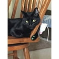 thumbnail image 4 of Pretty Claws Green Alien Glow Nail Caps for Cats - Kitten Size - 60 Pack ~ Stylish, 4 of 4