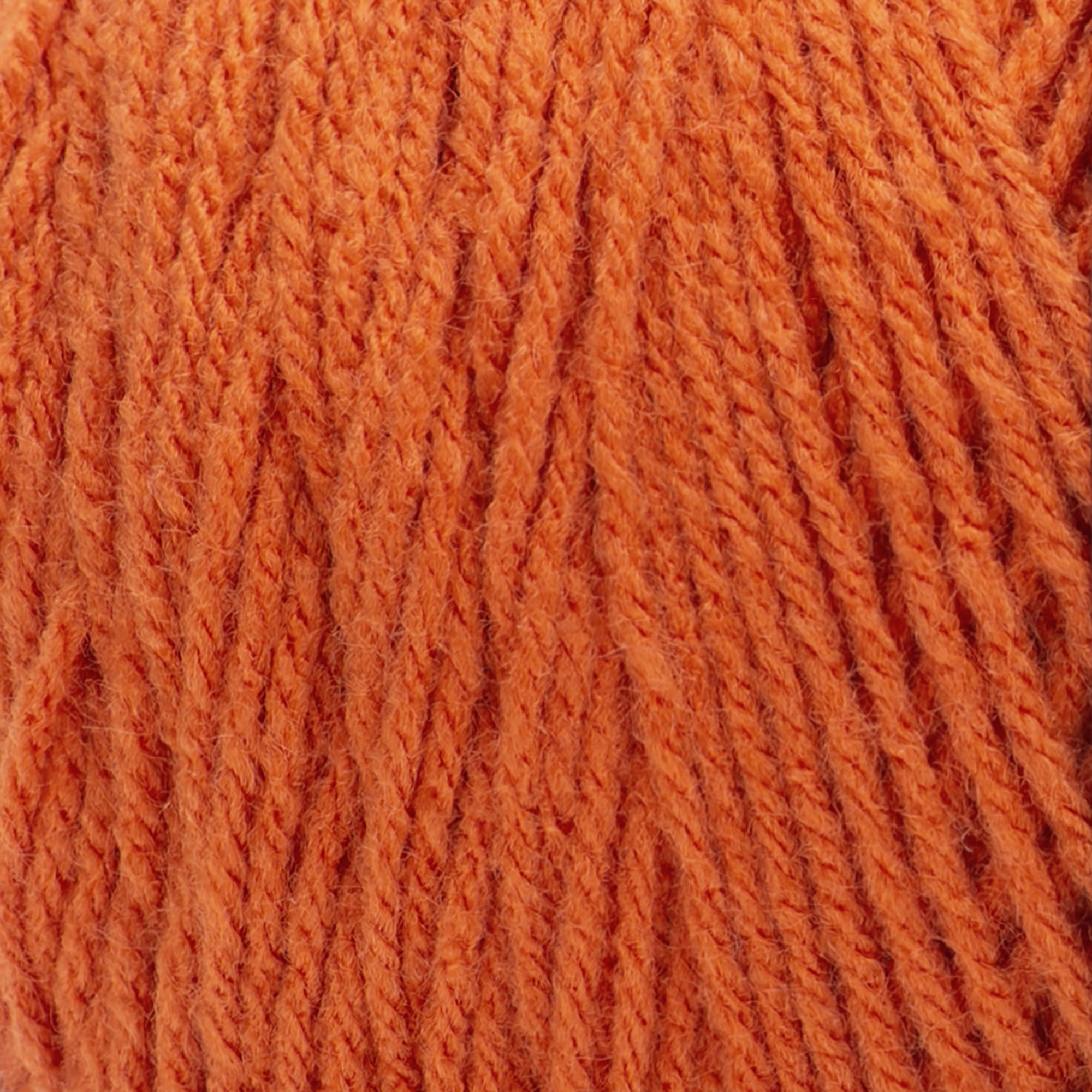 Red Heart® Super Saver Jumbo™ #4 Worsted Acrylic Yarn, Carrot 14oz/396g 744 Yards (2 Pack)