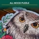 thumbnail image 5 of Rompecabezas Ravensburger Mysterious Owl 150 piezas, 5 of 7