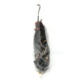 thumbnail image 4 of Chile Guajillo Pod 8oz, 4 of 5