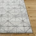 thumbnail image 4 of Hauteloom Tyree Living Room, Bedroom Area Rug - Traditional, Transitional - High Pile - Silver Gray, Sage, Gray - 2' x 2'11", 4 of 7