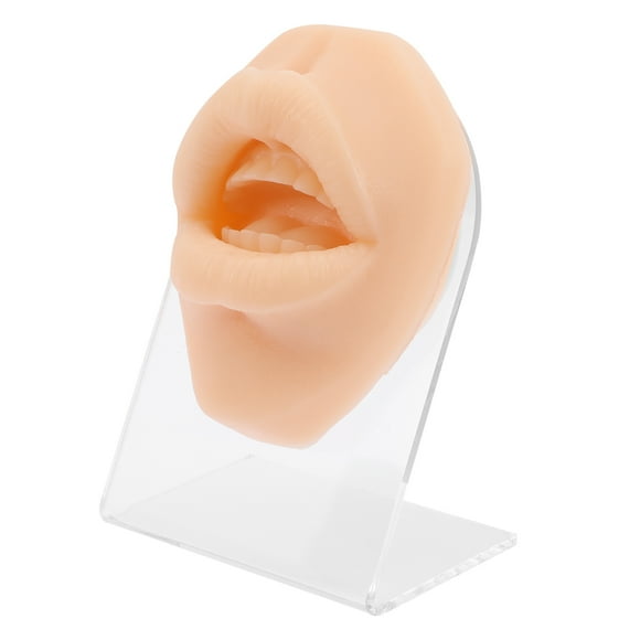 EeaseMX Modelo de boca de silicona de imitación, modelo de boca de práctica para perforación para exhibición de joyas