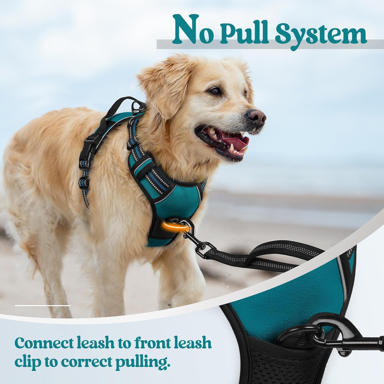 Rabbitgoo Small Dog Harness No Pull, Blue Coral photo 5