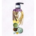thumbnail image 7 of Daeng Gi Meo Ri Jingie Vitalizing Shampoo & Treatment 3-in-1 Set, 7 of 7