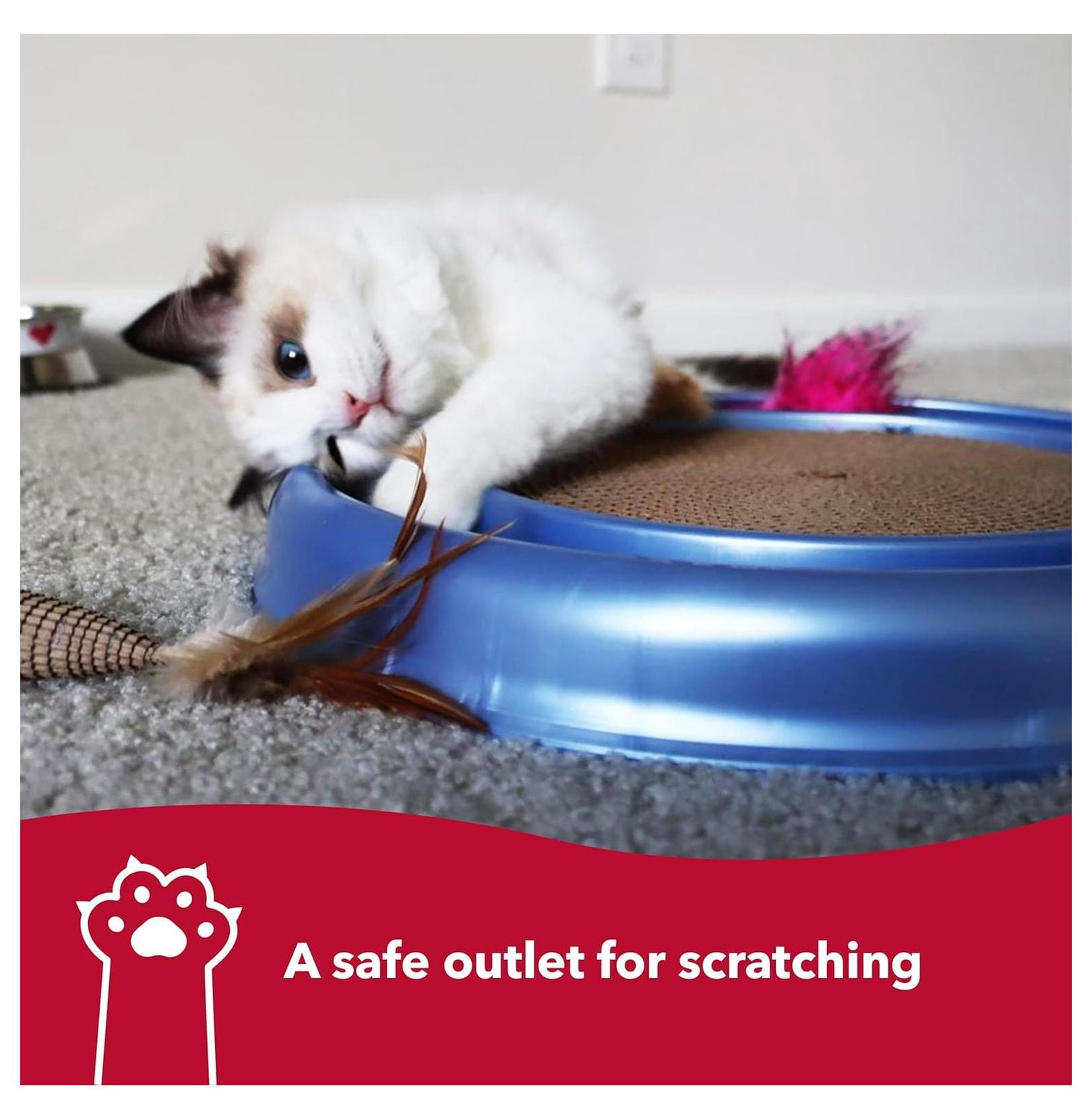 Cat Scratcher Pad with Toy Ball - Coastal Pet Turbo Scratcher for Cats - Cardboard Scratching Post with Catnip & Interactive Track Toy - 16" x 1.88"