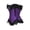 Purple, variant on Gothic Women Plus Size Zip Party Club Night Lace Bustiers Corset Red 6XL