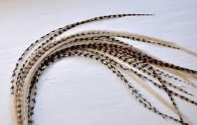 Feather Hair Extension 8 to 13 5 Beautiful Genuine Thin Long Grizzly & Beige Feathers for Hair Extension Salon Quality!