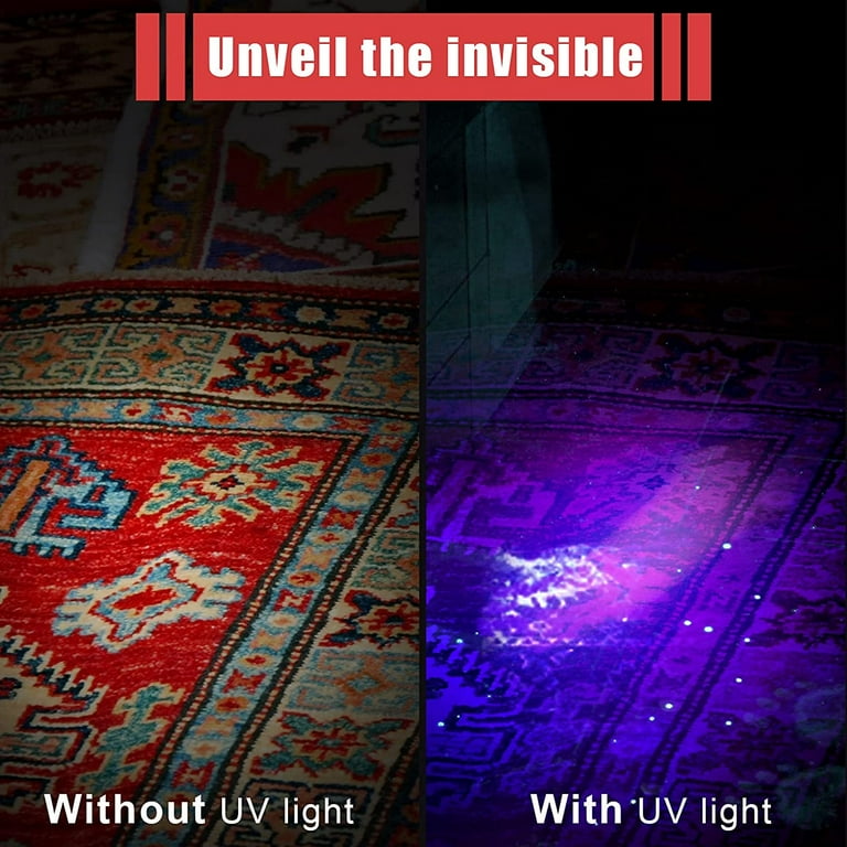 Small blacklight 2024