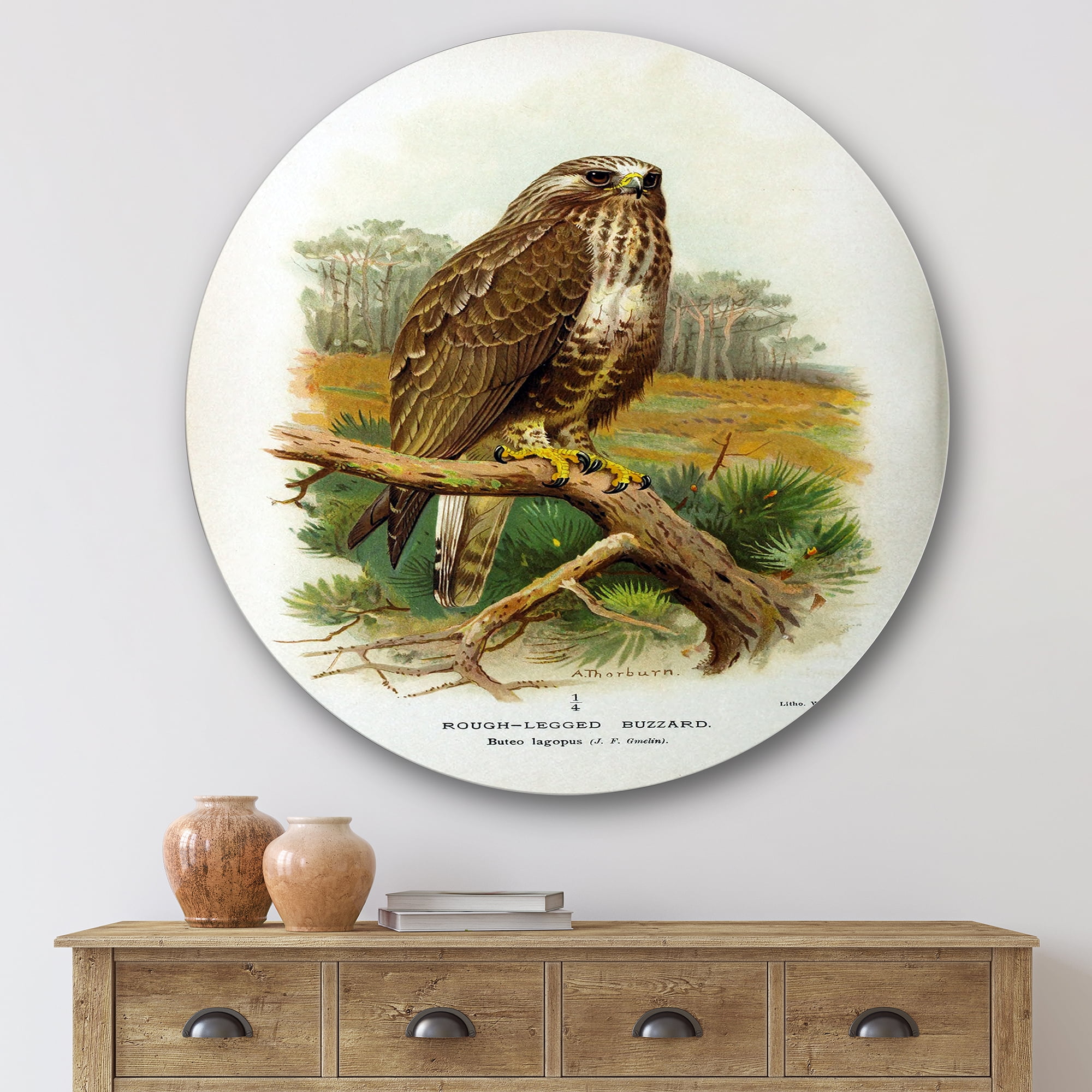 Designart 'Ancient Bird Life IX' Traditional Circle Metal Wall Art 29x29 - Disc of 29