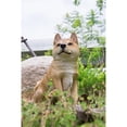thumbnail image 4 of Hi-Line Gifts Shiba Inu Dog Sitting Outdoor Garden Statue - 16" - Brown and White, 4 of 9