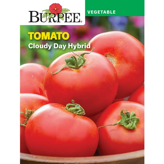 Burpee Cloudy Day Tomato Vegetable Seed, 1-Pack