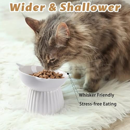 Ceramic Raised Cat Bowl，Tilted Raised Cat Bowl Anti Vomit Cat Bowls for Indoor Cats Whisker Friendly Pet Feeder for Cats Puppies, Microwave and Dishwasher Safe