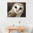 thumbnail image 2 of COMIO  - Canvas Wall Art - Common Barn Owl (Tyto Albahead) Head Close Up - Gallery Wrap Modern Home Art, 2 of 4