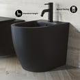 thumbnail image 5 of St. Tropez Floor Mount Classic Bidet in Matte Black, 5 of 13