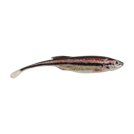 Berkley PowerBait® Drip Minnow 4 in HD Blacknose Shiner