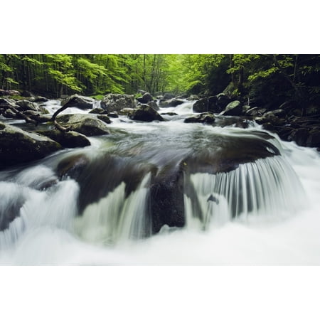 Tennessee United States Of America Curved Cascade On The Middle Prong River In The Great Smokey Mountains National Park Stretched Canvas - Natural Selection Robert Cable  Design Pics (19 x