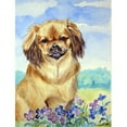 thumbnail image 1 of Carolines Treasures 7078GF Tibetan Spaniel Flag - Garden Size, 1 of 3