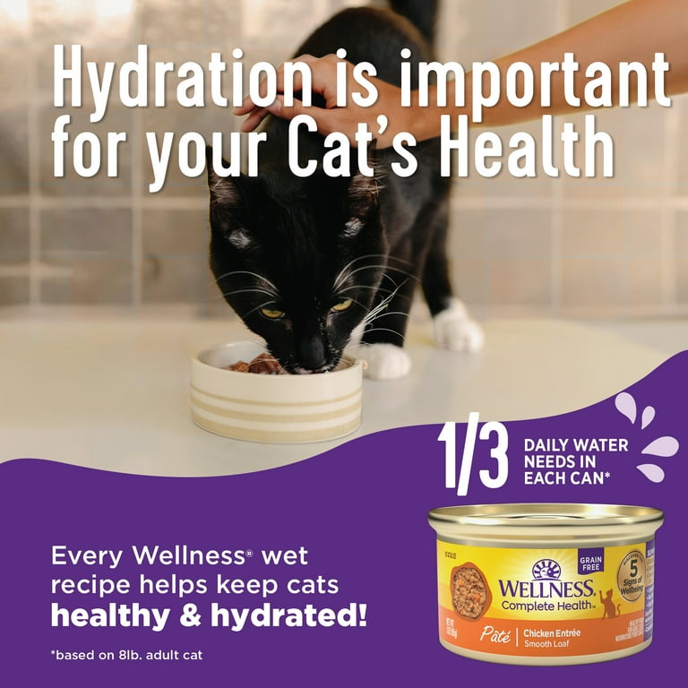 Wellness Complete Health Grain Free Canned Cat Food Chicken Pate 5.5 Ounces Pack of 24 Walmart