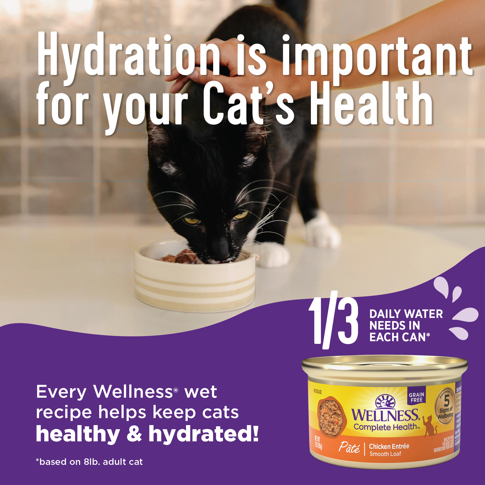 Wellness Complete Health Wet Canned Cat Food, Minced Turkey Entree, 5.5oz Can (Pack of 24) - image 4 of 9