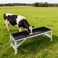 thumbnail image 2 of 40in Livestock Feed Trough, Farm Animal Feeding Trough with Deeper Feeding Pan and Stand, Galvanized Steel Sheep Feeder Trough for Goats Sheep Deer Pigs Cows Ponies and Horses (Black), 2 of 7
