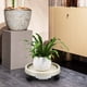 thumbnail image 4 of unbranded Para Plantas Con Y Material Plástico Para Interior Color Beige, 4 of 7