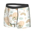 thumbnail image 2 of Balery Air Balloon and Flower Men's Boxer Briefs, Soft and Breathable Cotton Underwear with nylon Waistband-Small, 2 of 9