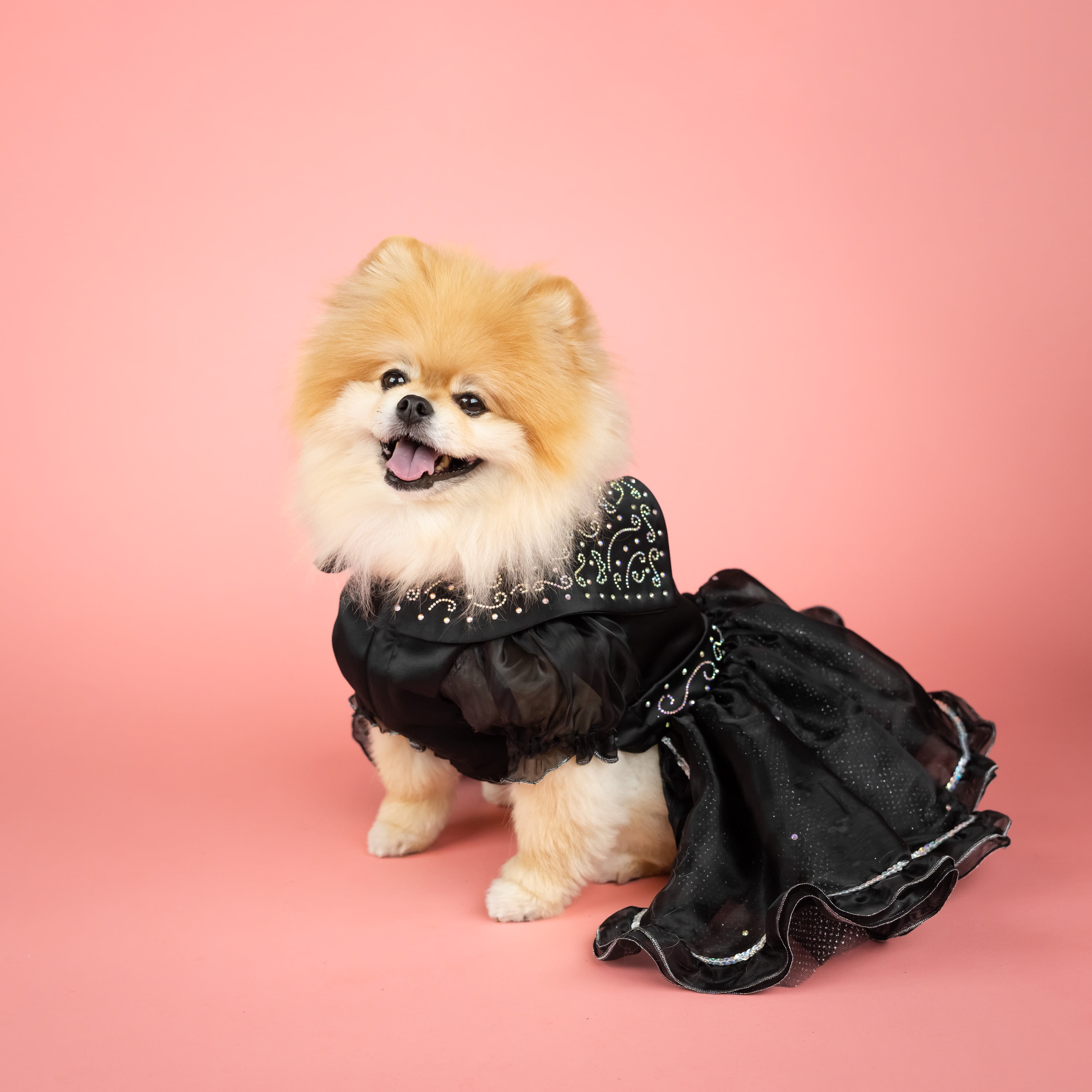 Doggy Parton, Dog and Cat Clothes, Shimmering Evening Pet Dress, Black, XS