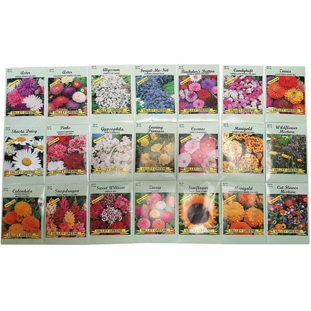 Gardening Seed Starter Set of 25 Assorted Valley Green Flower Seed Packets Thousands of Seeds, Includes One Set of 25 Random Assorted Flower Gardening Seeds! You are.., By Black Duck Brand ()