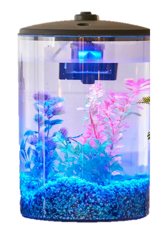 Fish Tanks in Fish