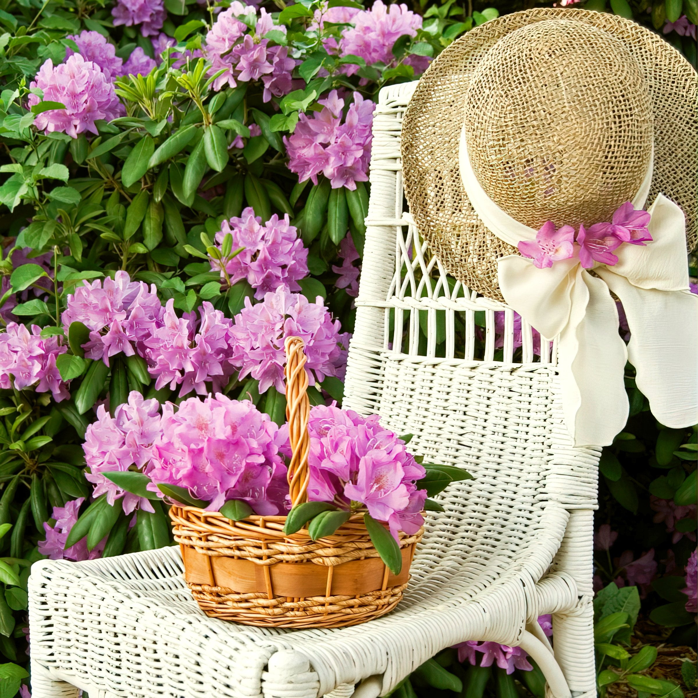 National Plant Network 4 in. Azalea FlorAmore Lavender (3-Pack)