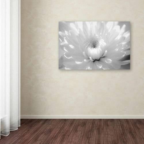 Trademark Fine Art 'Infrared Flower 2' Canvas Art by PIPA Fine Art