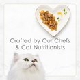 thumbnail image 2 of Fancy Feast Petites Roasted Turkey Entrée with Sweet Potato in Gravy, Wet Cat Food 79.4g, 2 of 9