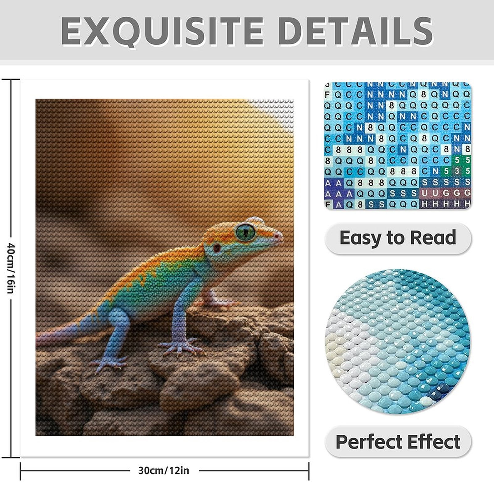 Diamond Art Kits for Adults - 5d Colorful Lizard On Rocks Diamond Painting for Adults, Diamond Art for Adults Beginners, Diamond Painting Kits for Adults for Home Wall Decor