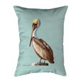 thumbnail image 2 of Betsy Drake KS035C 11 x 14 in. Pelican Teal Small No-Cord Pillow, 2 of 2