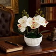 thumbnail image 5 of Artificial Orchids Realistic Phalaenopsis Potted Plant with Ceramic Pot for Home Office Desk Decor, 5 of 6