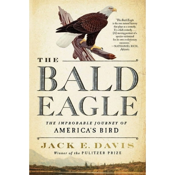 The Bald Eagle (Paperback)