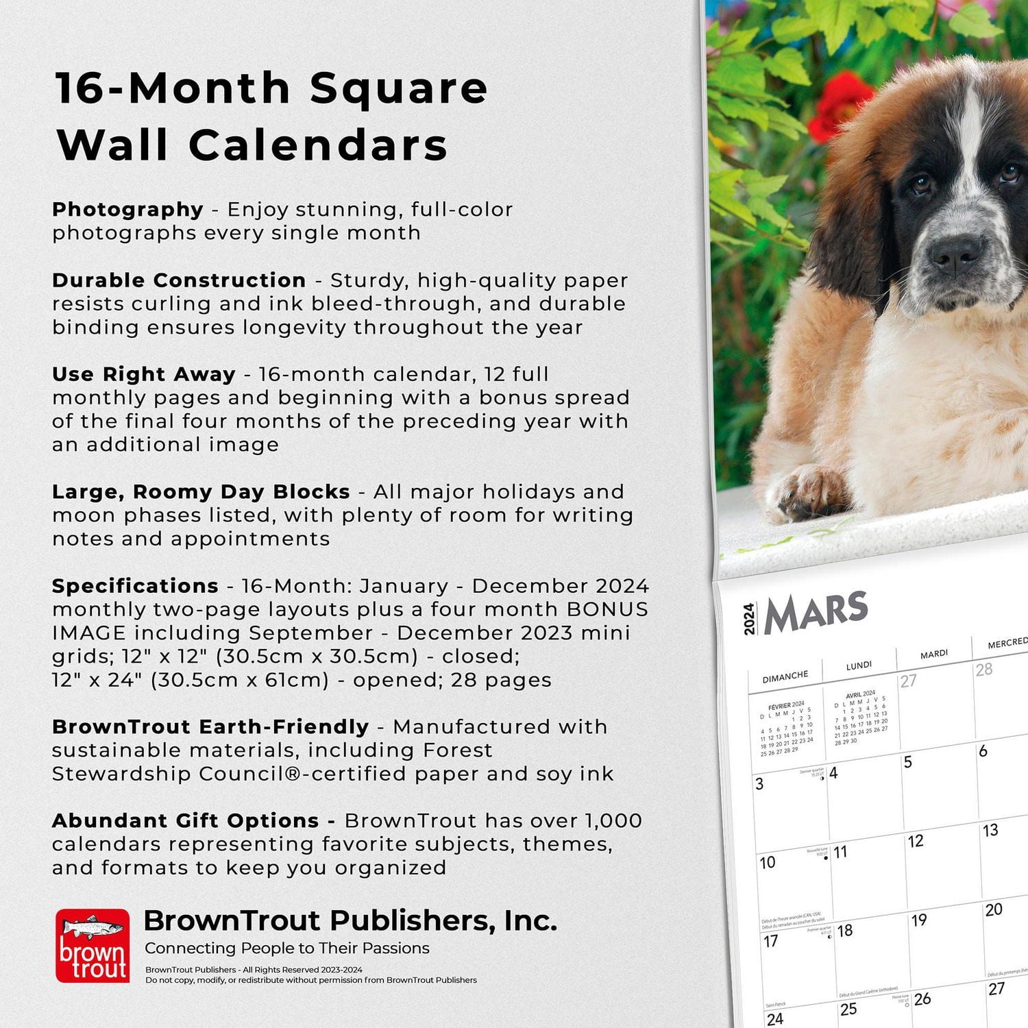 BrownTrout Puppies 2024 12x24 Inch Square Wall Calendar, 9781975470302