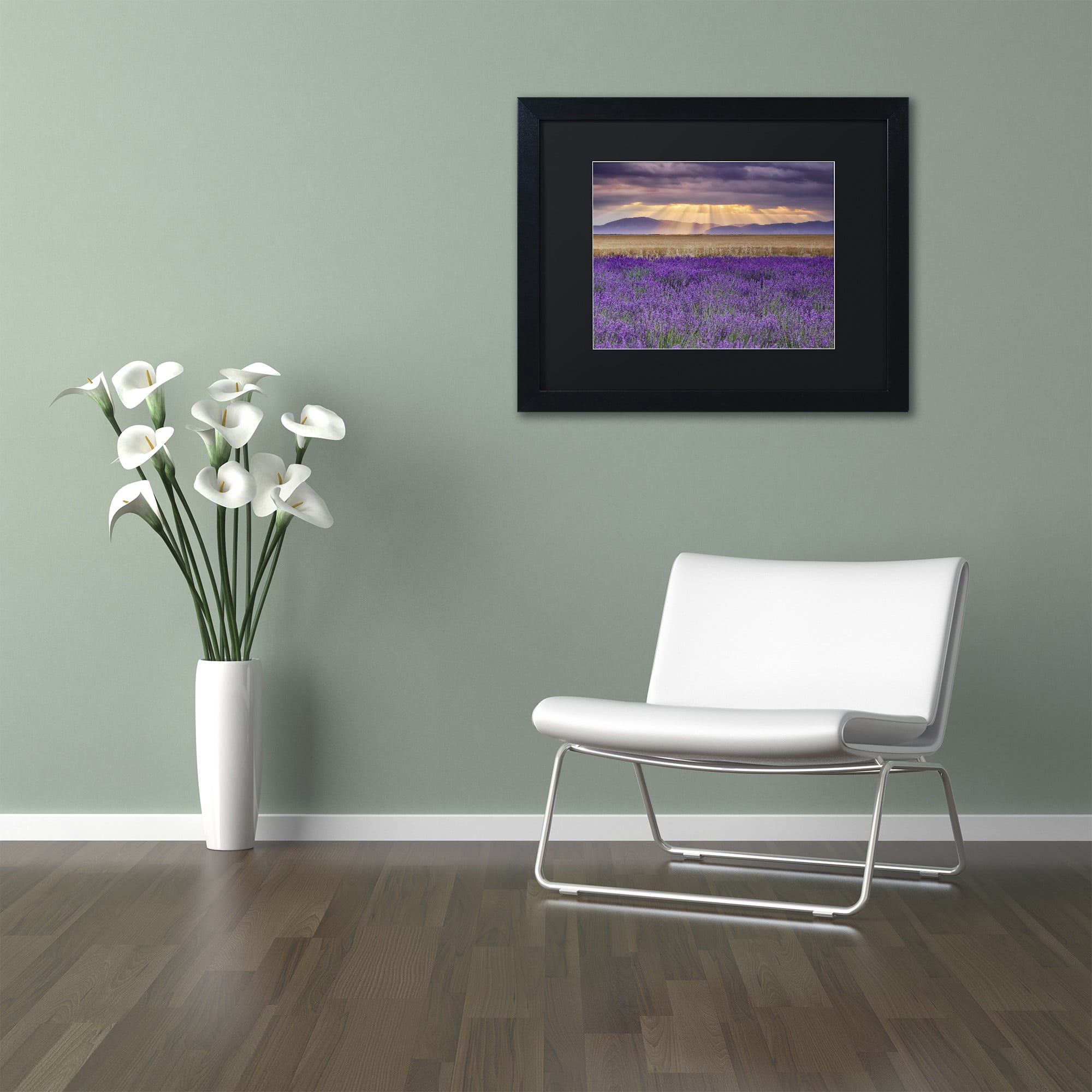 Trademark Fine Art "Lavender Sunbeams" Canvas Art by Michael Blanchette Photography Black Matte, Black Frame