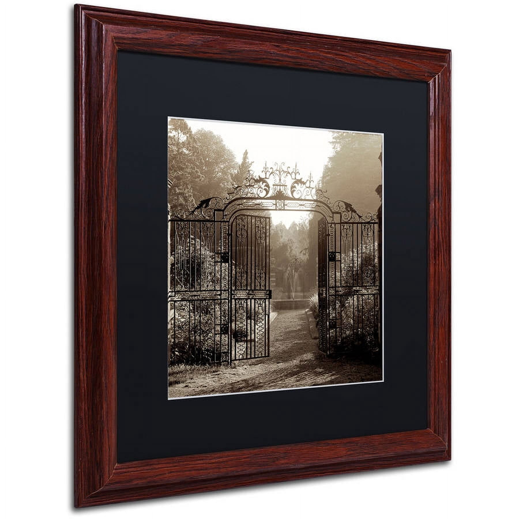 Trademark Fine Art "Hampton Gates III" Canvas Art by Alan Blaustein, Black Matte, Wood Frame