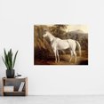 thumbnail image 2 of Troye Bolivia 1836 White Horse Painting Extra Large XL Wall Art Poster Print, 2 of 3