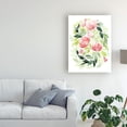 thumbnail image 3 of Trademark Fine Art 'Buoyant Bouquet II' Canvas Art by Grace Popp, 3 of 3