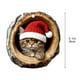 thumbnail image 3 of Colgante Decorativo Adorno navideño plano conmemorativo para mascotas, de acrílico, ideal para decorar el hogar (1 unidad). Rkxzt, 3 of 8