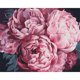 thumbnail image 1 of Cuadros Decorativos Kit de pintura DIY por número, flores de peonía rosa, sin marco para arte de decoración del hogar Sywqhk Nuevos Originales, 1 of 9
