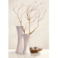 thumbnail image 2 of van der Valk, Karin 14x18 White Modern Wood Framed Museum Art Print Titled - Willow Twigs I, 2 of 4
