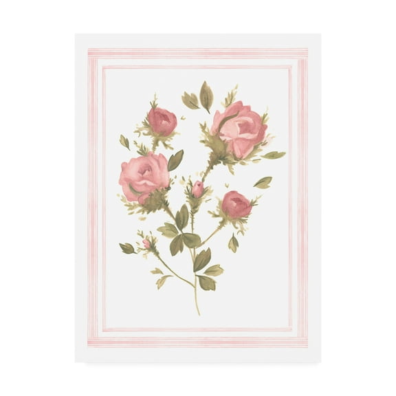 Trademark Fine Art 'Rose Pattern II' Canvas Art by Emma Scarvey